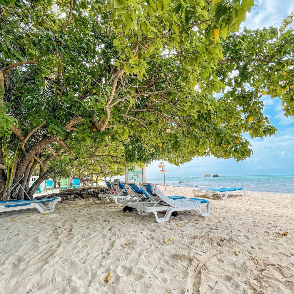 ホテル オテル ココプルム ビーチ San Andrés エクステリア 写真