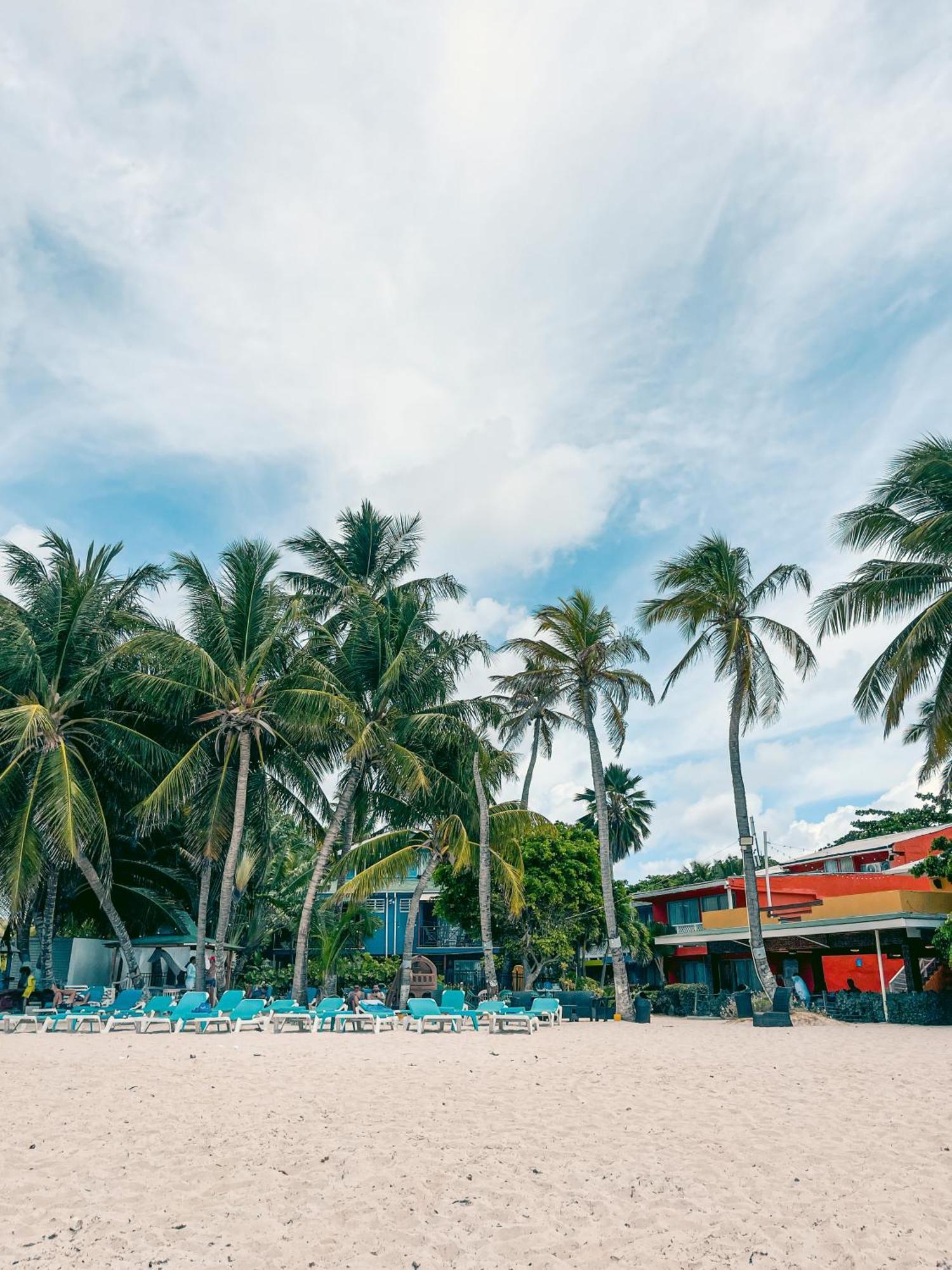 ホテル オテル ココプルム ビーチ San Andrés エクステリア 写真