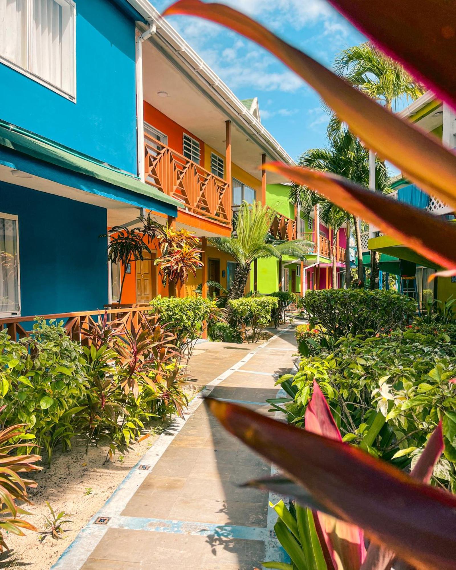 ホテル オテル ココプルム ビーチ San Andrés エクステリア 写真